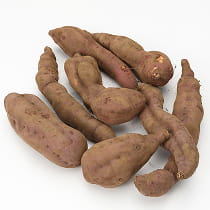 さつまいものイメージ