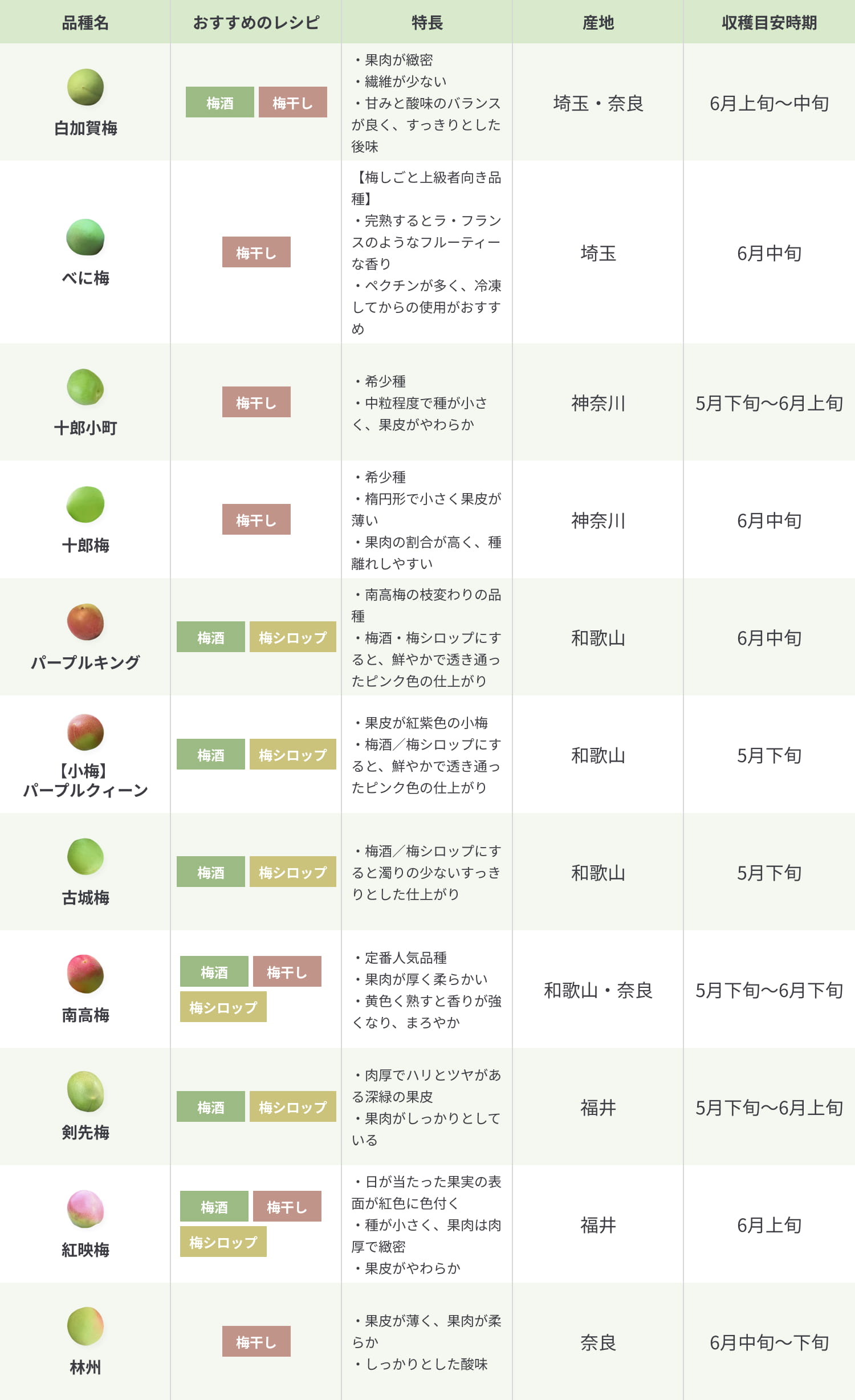 梅の種類と特長の表