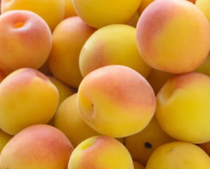 完熟梅のイメージ