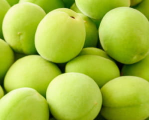 青梅のイメージ