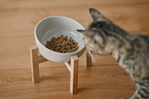 ごはんとおやつ