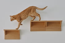 上れる遊び場・居場所