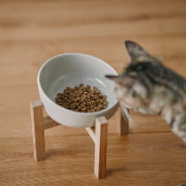 健康を考えたごはんとおやつ