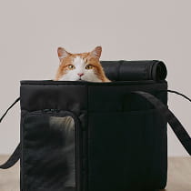 快適なおでかけ