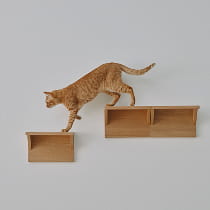 快適な暮らしの空間