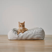 清潔なくつろぎ場所