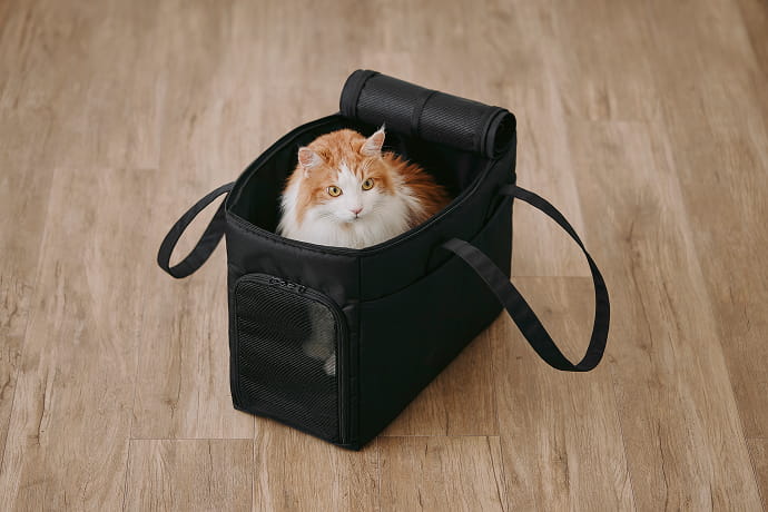 猫とくつろぐ、無印良品の空間｜無印良品