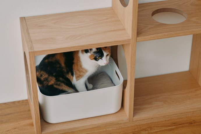 猫用クッションのイメージ