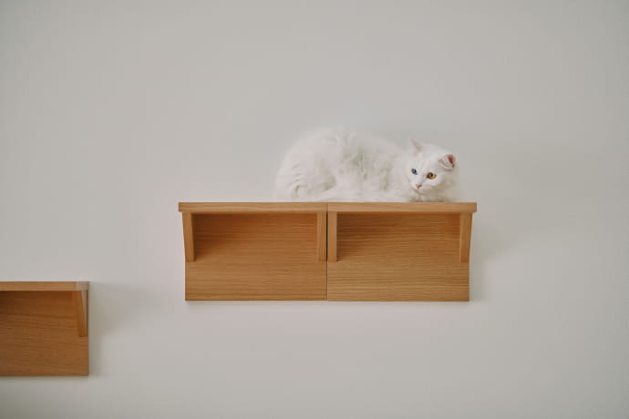 猫とくつろぐ、無印良品の空間｜無印良品