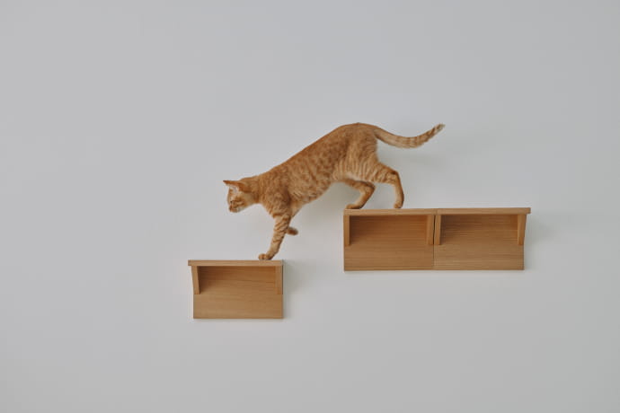 猫とくつろぐ、無印良品の空間｜無印良品