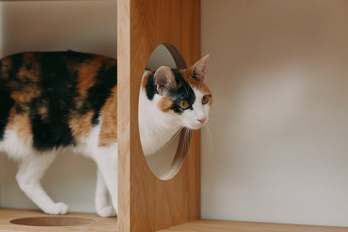 遊び心のある通り抜け穴のイメージ