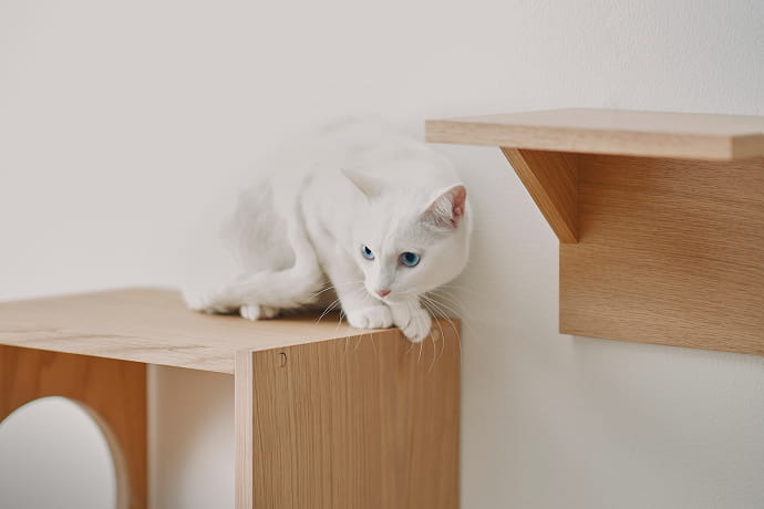 耐久性とデザイン性のイメージ