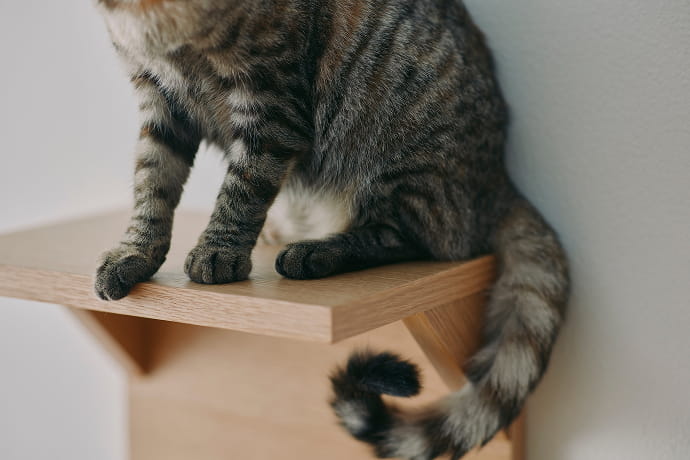 耐荷重約10kgの頑丈設計のイメージ