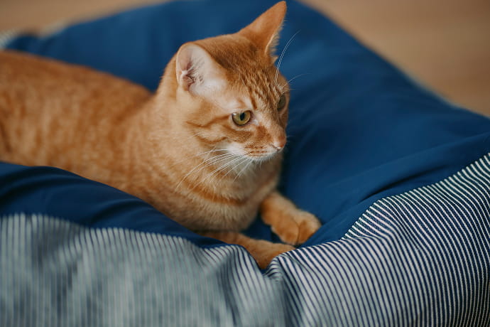 丸洗いできて、いつでも清潔のイメージ