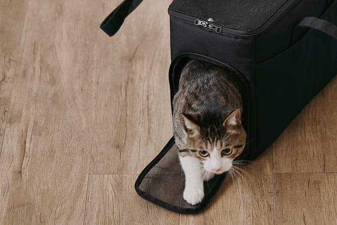 上からも横からも出入りしやすいのイメージ