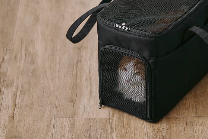 クッション入りでやさしく支えるのイメージ