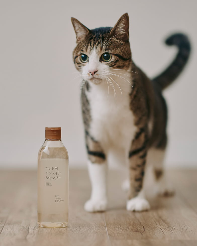 体重 約6.7kgの猫とペット用　リンスインシャンプーボトルのイメージ