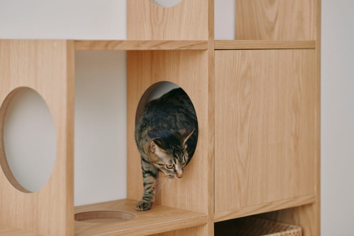 専用ボードのイメージ