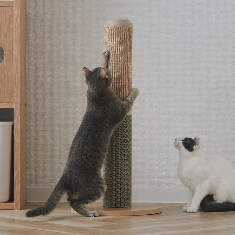 研ぎ心地を選べるジュート麻・ダンボール 爪とぎポールのイメージ