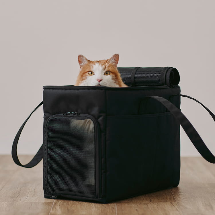 出入りしやすく持ち運びやすいペット用キャリーバッグのイメージ