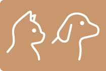 猫・犬兼用アイテム