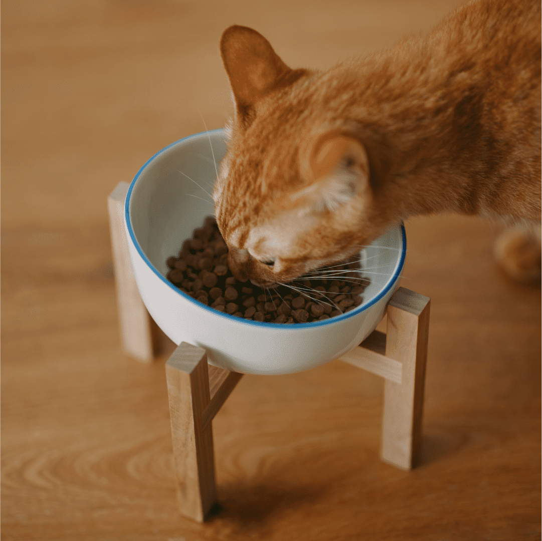 ねこ　美品■Muji無印良品 天然木バーチ材 ドレッサー/デスク+スツール ねこ様専用 美品□Muji無印良品 天然木バーチ材 ドレッサー