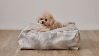 くつろぐ・眠る