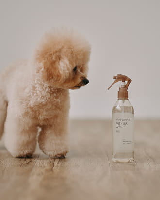 ペットまわりの除菌・消臭スプレーのイメージ