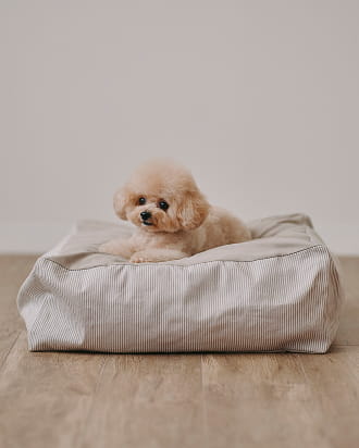 丸洗いできる ペット用クッションのイメージ