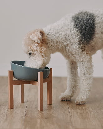 磁器 ペット用フードボウル 大のイメージ