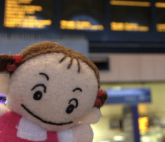 恋するにわとり