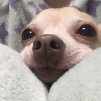 ちゅら