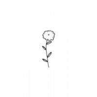 Honami