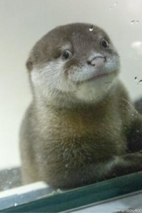 たかひろ