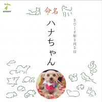 あすとら