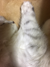 まっきー