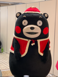 はるぼぉ