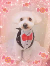 ユッキー