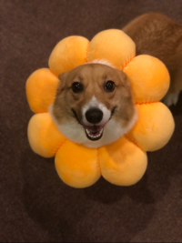 理々ママ