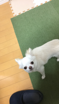 りゆ