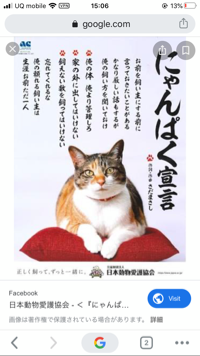 ちゃい