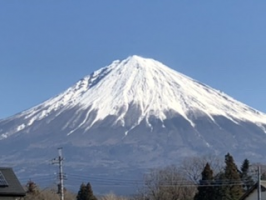 こびとのひとやん