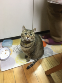 SUMIRE
