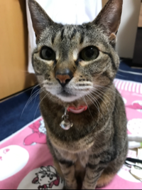 こゆき