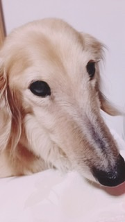 レナ