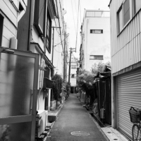 おどねる