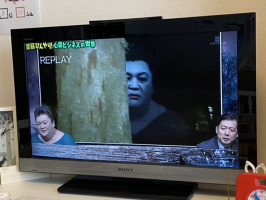 フワさん