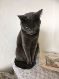 chloe