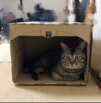 ちぃ