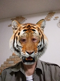 のぶりん